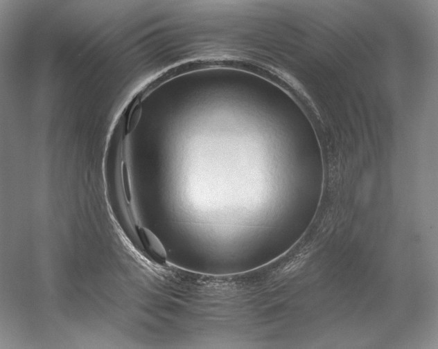 X0000053090935200507251601