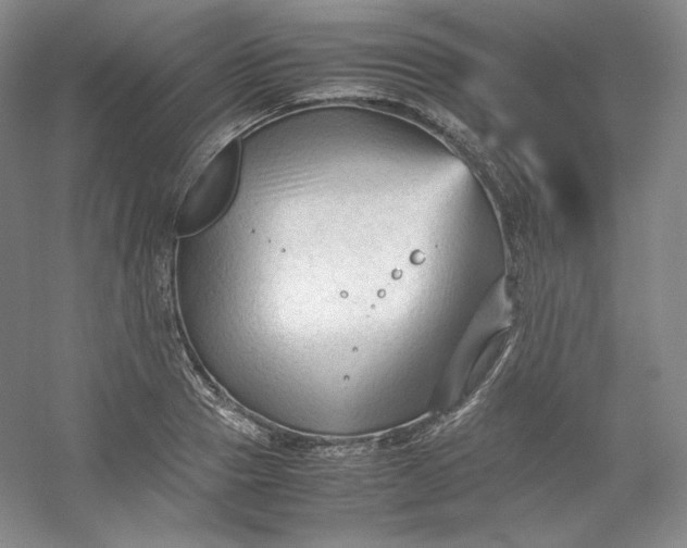 X0000053090937200507251601