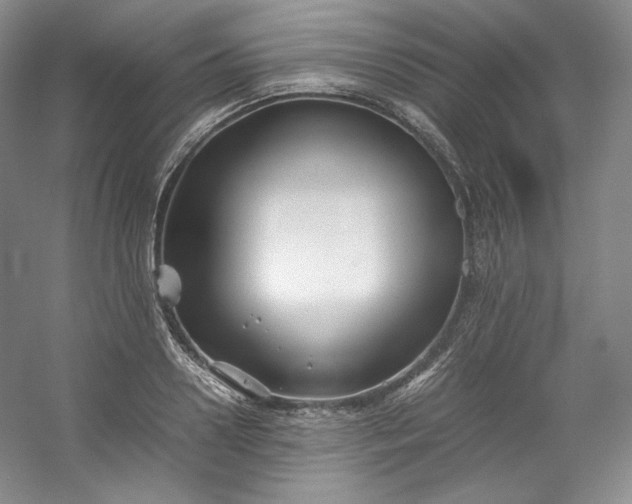 X0000053090938200507251601