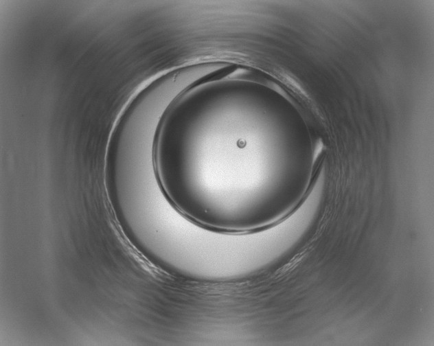 X0000053090940200507251601