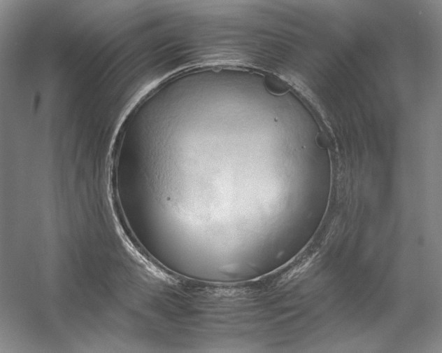 X0000053090941200507251601