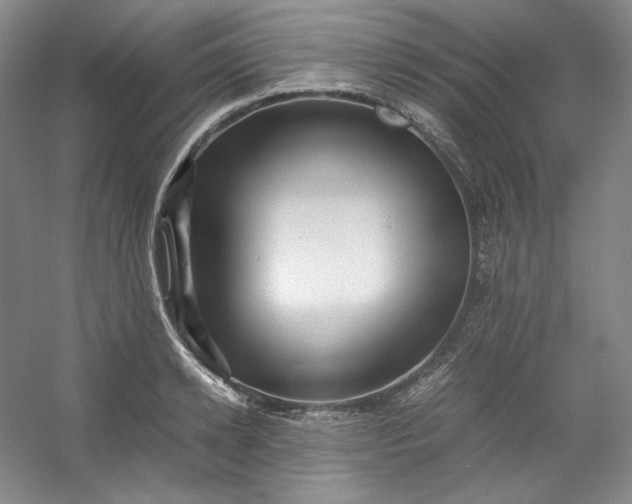 X0000053090942200507251601