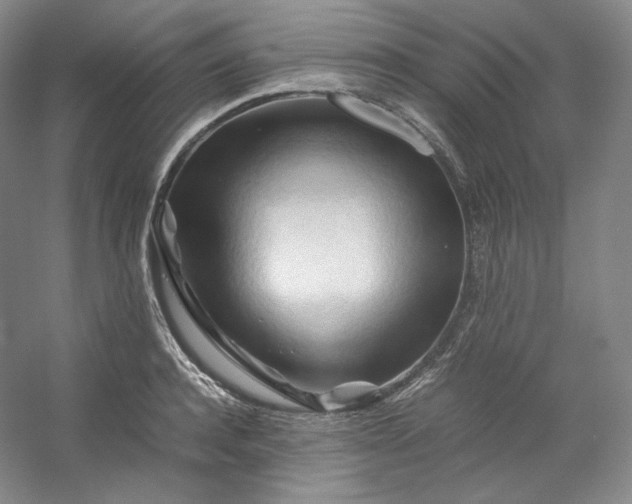 X0000053090944200507251601