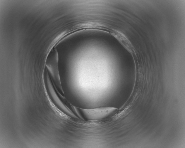 X0000053090946200507251601