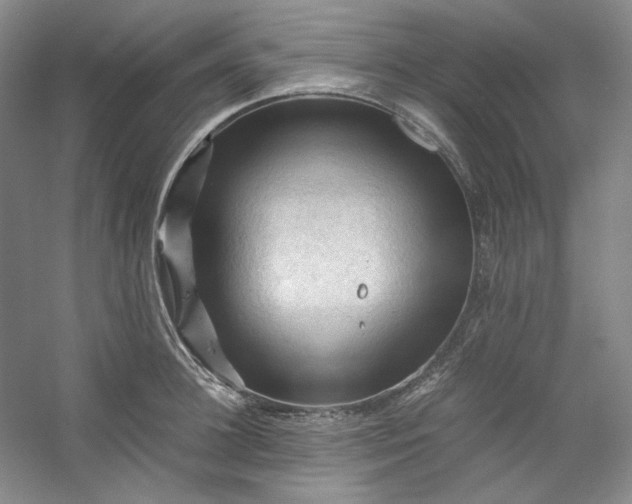 X0000053090948200507251601