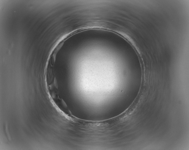 X0000053090949200507251601