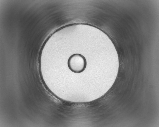 X0000053090950200507251601