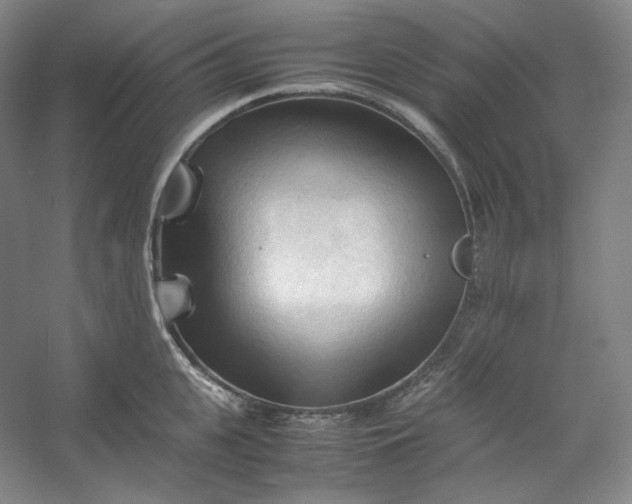 X0000053090951200507251601