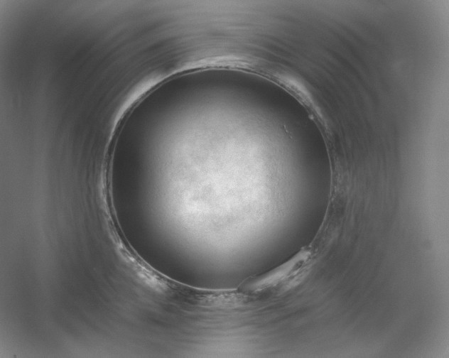 X0000053090952200507251601