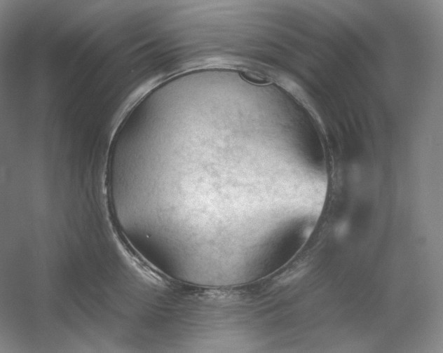 X0000053090954200507251601