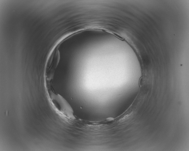 X0000053090955200507251601