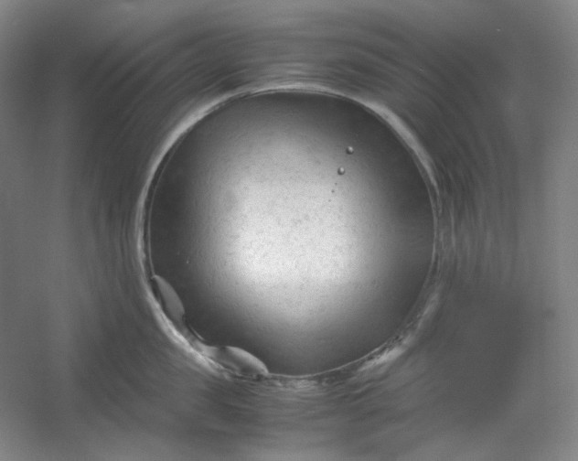 X0000053090957200507251601