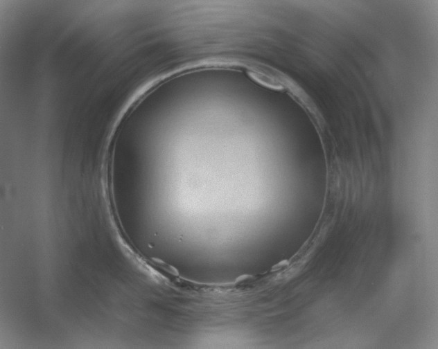 X0000053090958200507251601