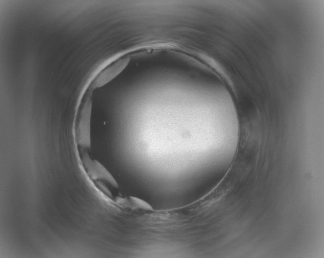 X0000053090959200507251601