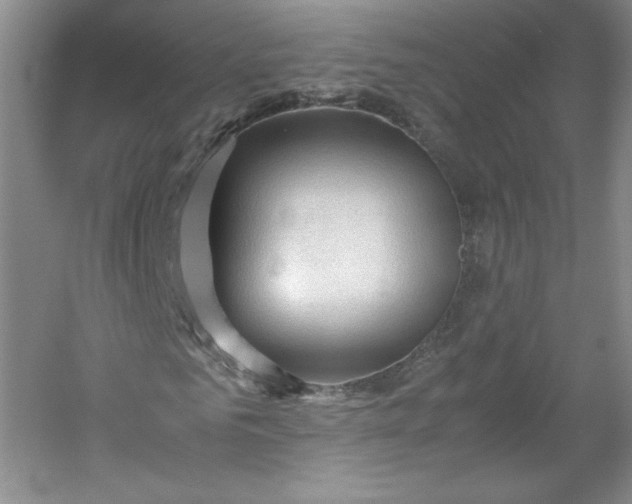 X0000053090961200507251600