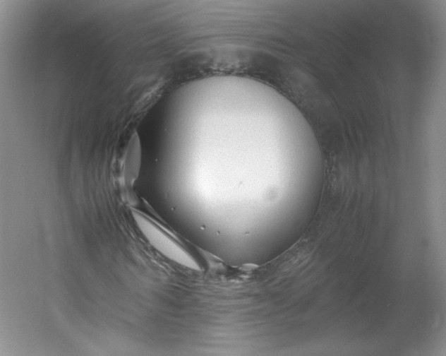 X0000053090962200507251600