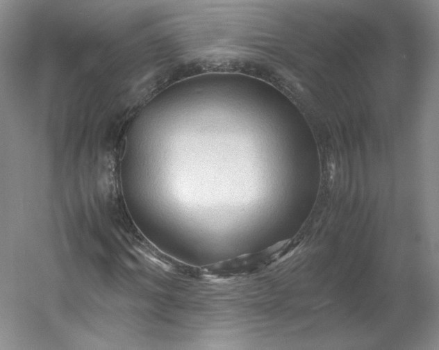 X0000053090964200507251600