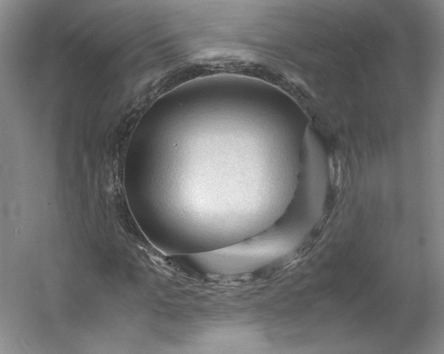 X0000053090965200507251600