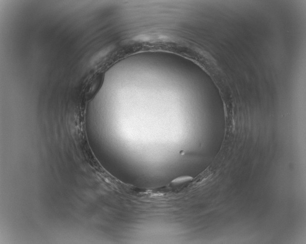 X0000053090966200507251600