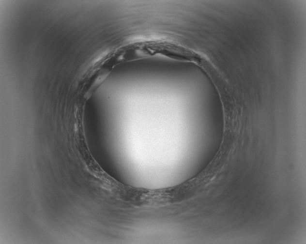 X0000053090967200507251600