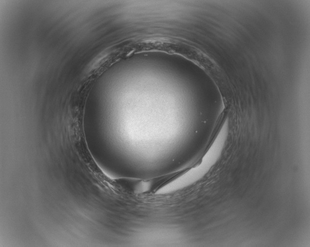 X0000053090968200507251600