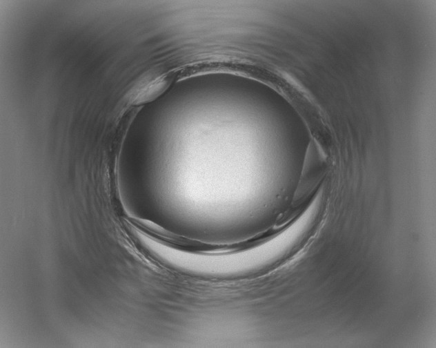 X0000053090969200507251600