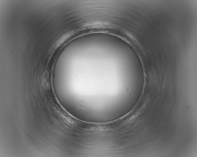 X0000053090970200507251600