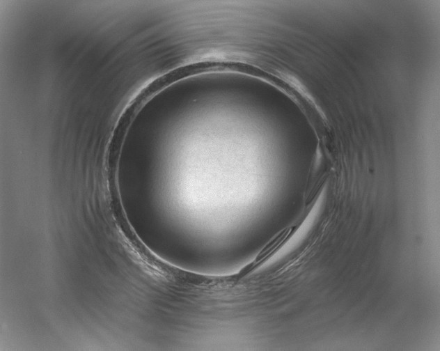 X0000053090972200507251600