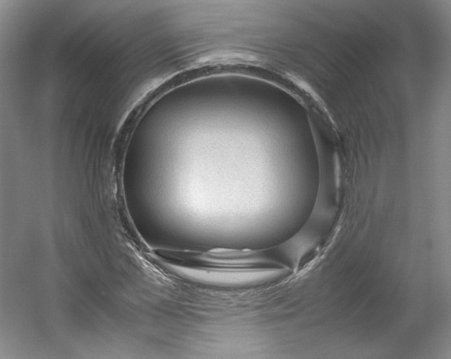 X0000053090973200507251600