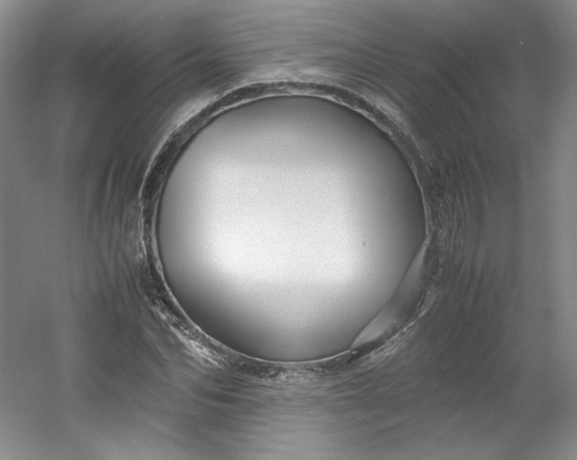 X0000053090974200507251600