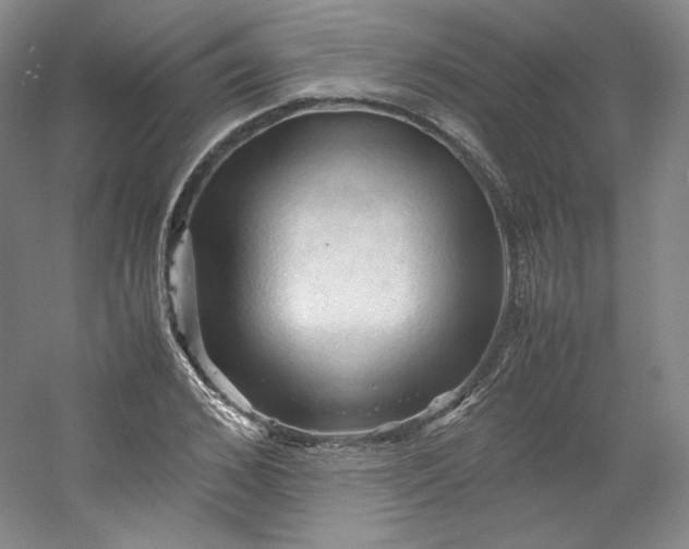 X0000053090976200507251600