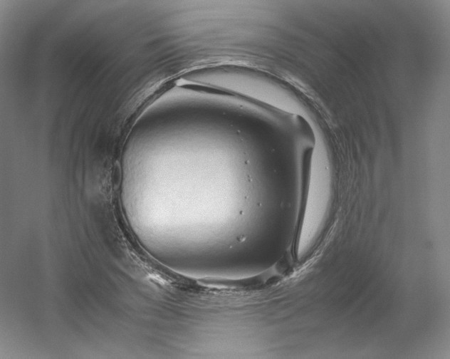 X0000053090977200507251600