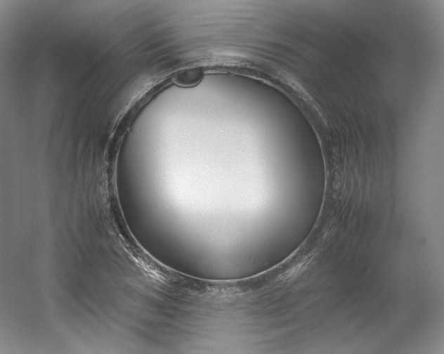 X0000053090978200507251600