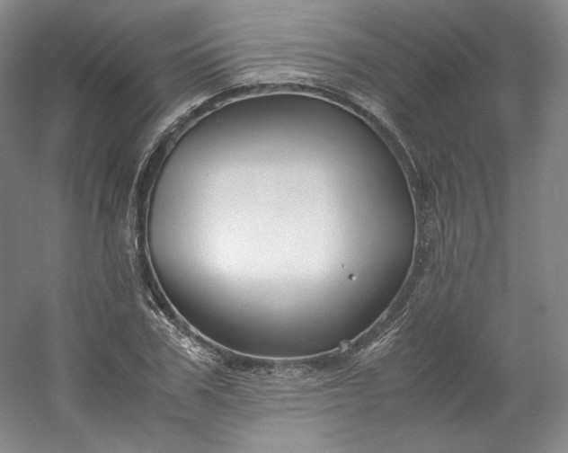 X0000053090979200507251600