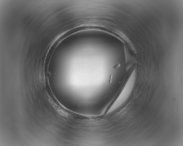 X0000053090980200507251600