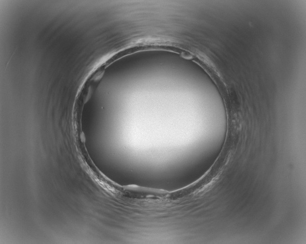 X0000053090981200507251600