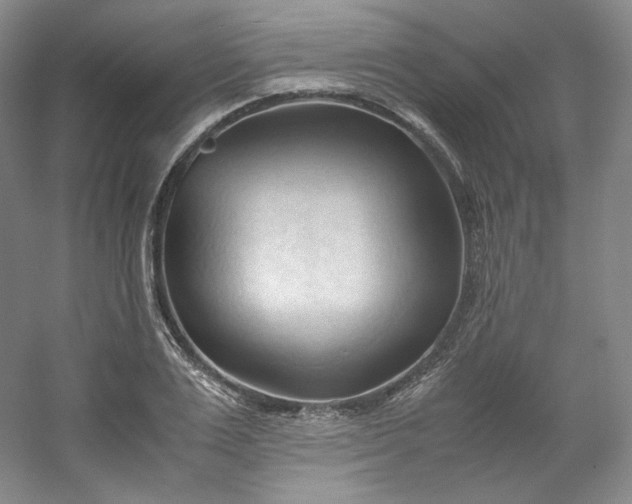 X0000053090983200507251600