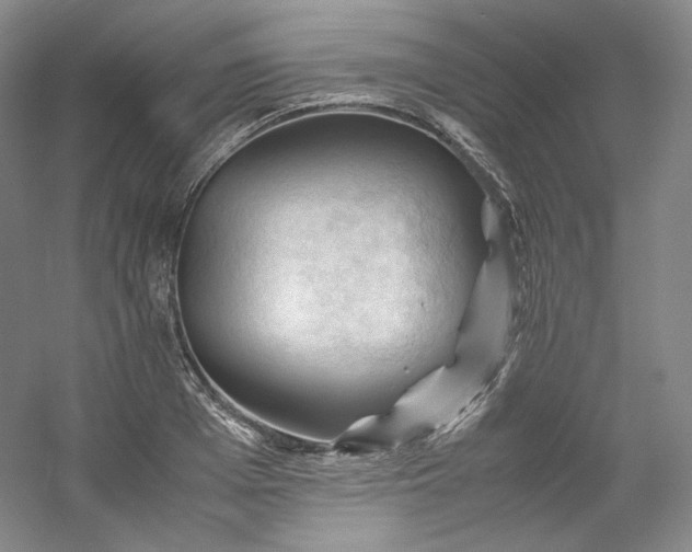 X0000053090985200507251600