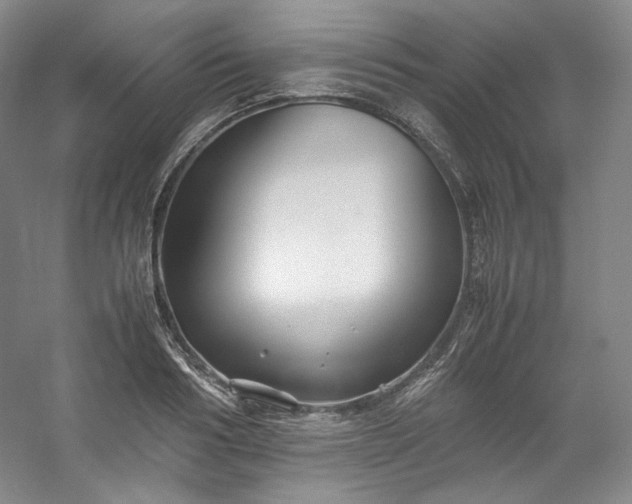 X0000053090986200507251600