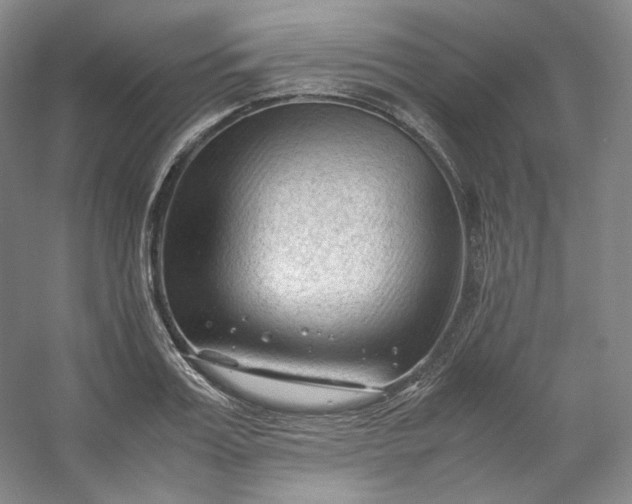 X0000053090987200507251600