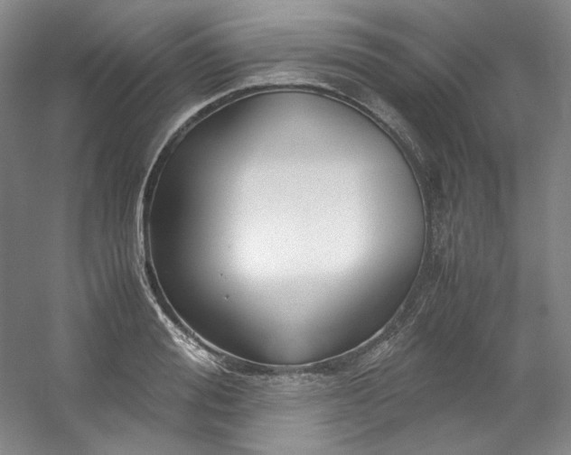 X0000053090988200507251600