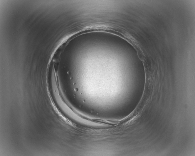 X0000053090989200507251600