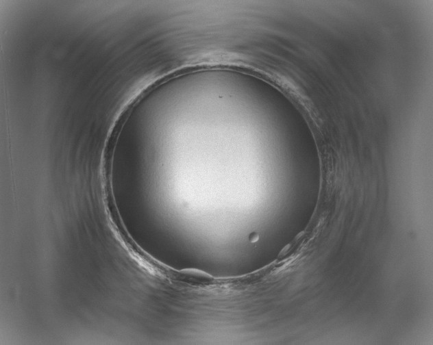 X0000053090990200507251600