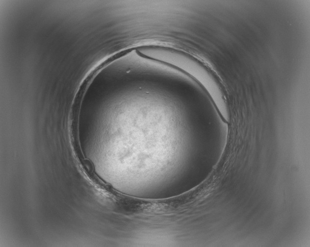 X0000053090991200507251600