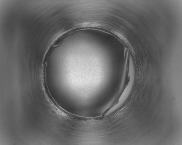 X0000053090992200507251600