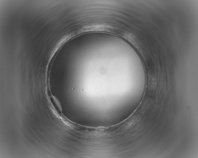 X0000053090994200507251600