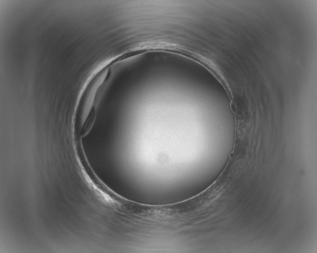 X0000053090995200507251600