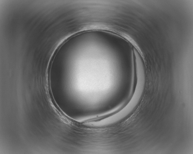 X0000053090996200507251600