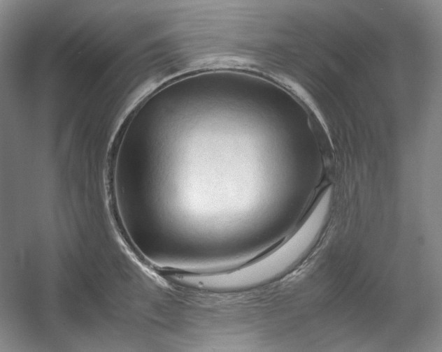 X0000053090997200507251600