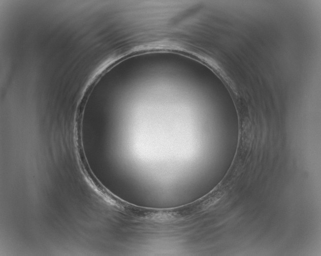 X0000053090998200507251600